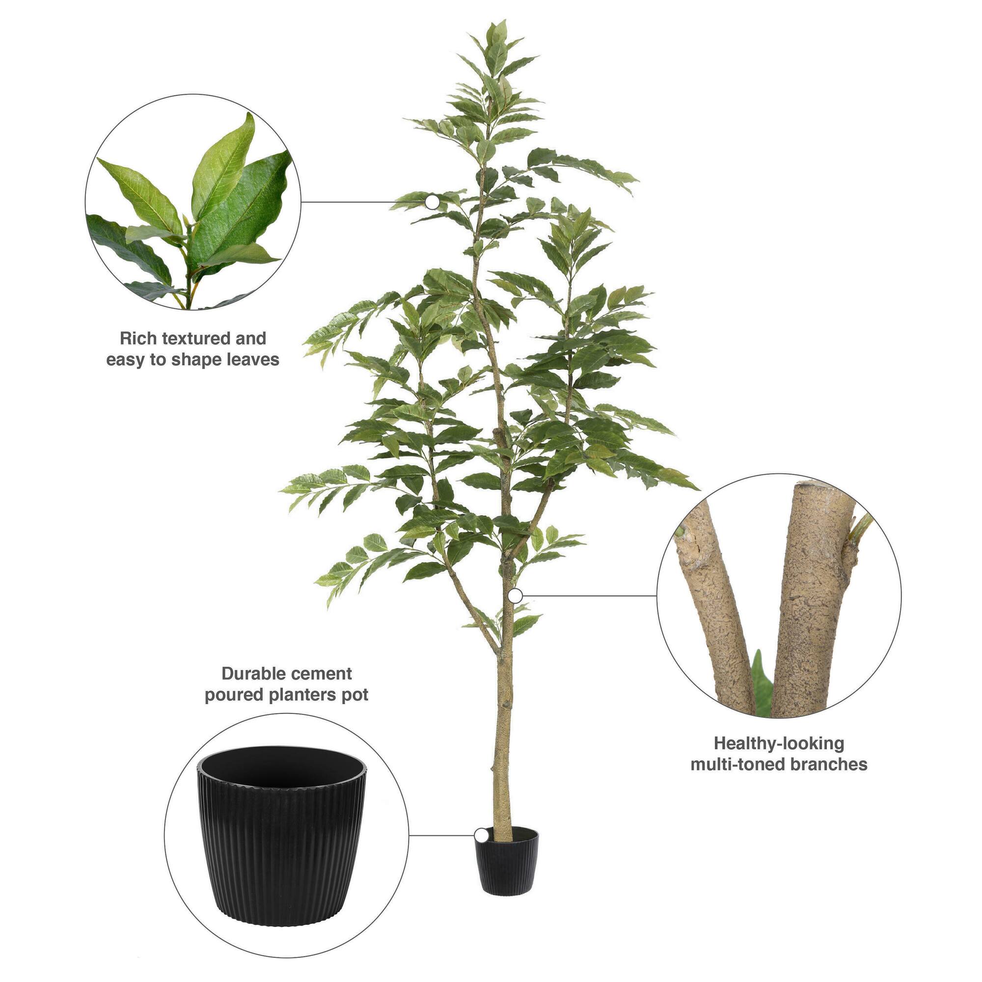 7ft. Potted Green Nandina Tree